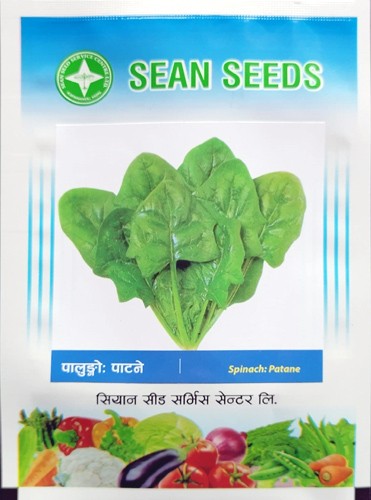 Spinach: Patane Palungo